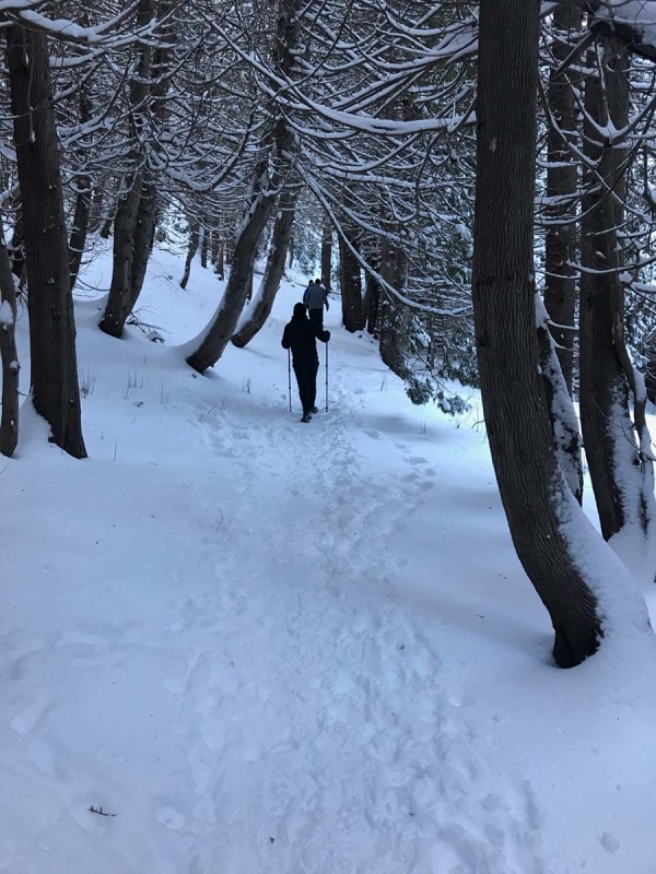 Percé en hiver